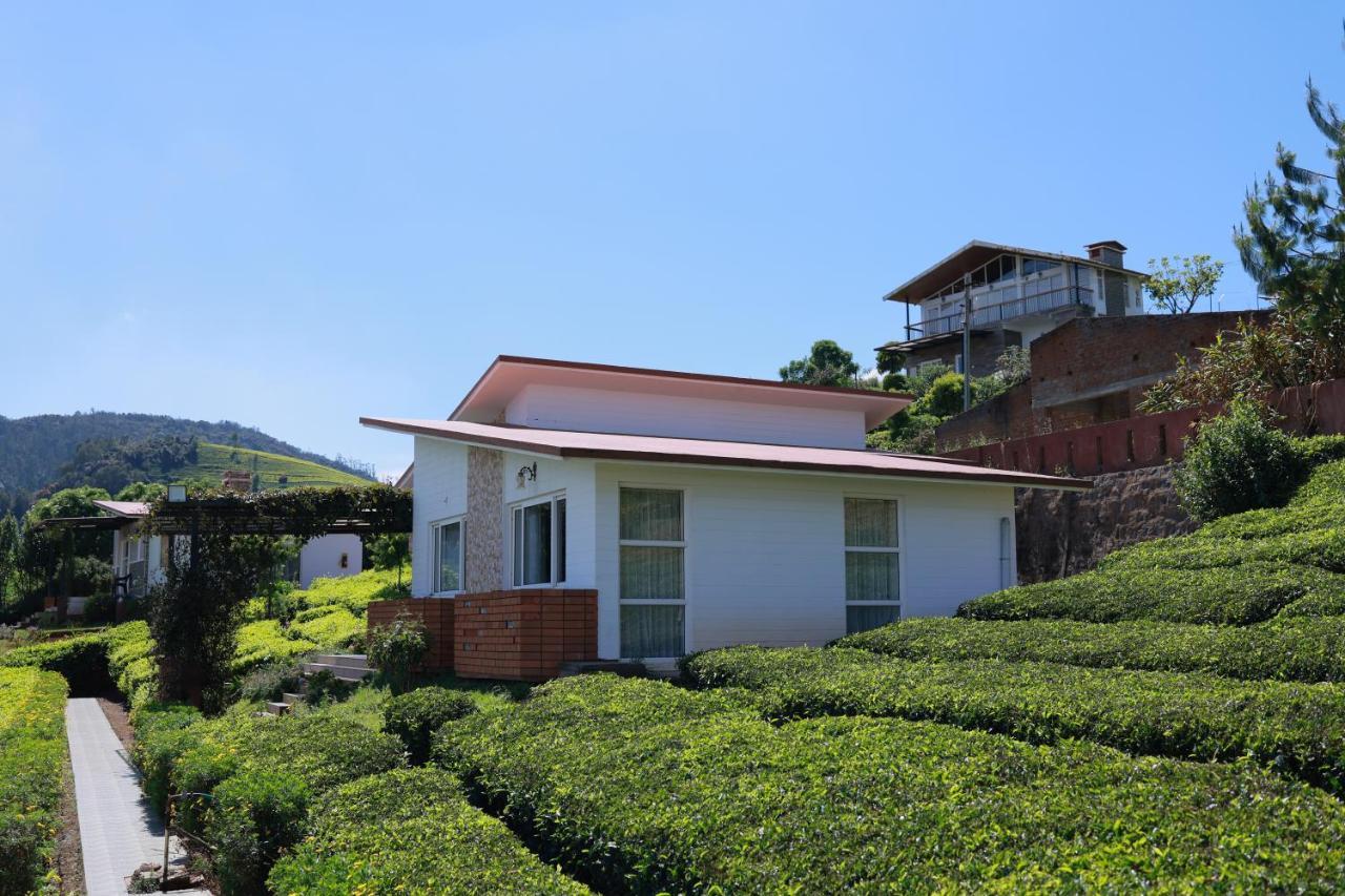 Planters Punch Resort 乌提 外观 照片