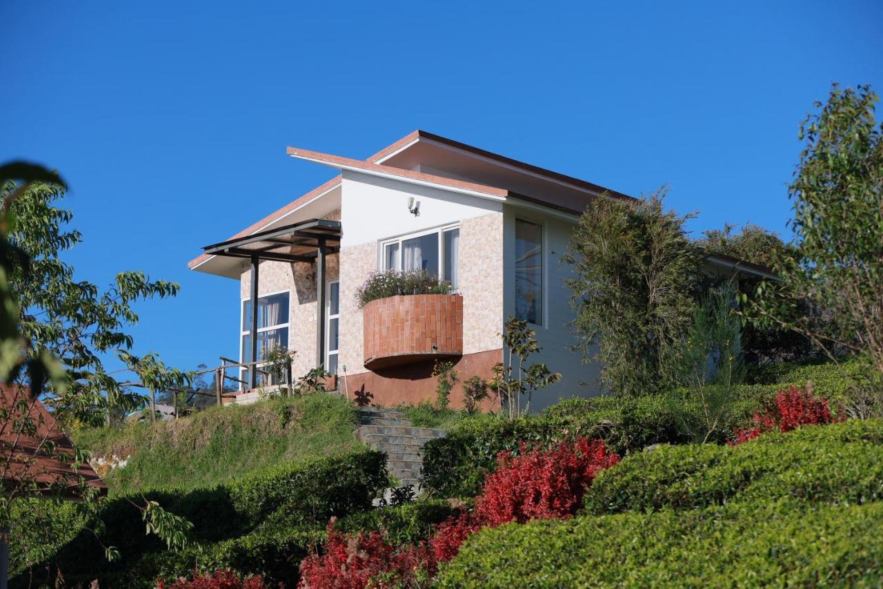 Planters Punch Resort 乌提 外观 照片