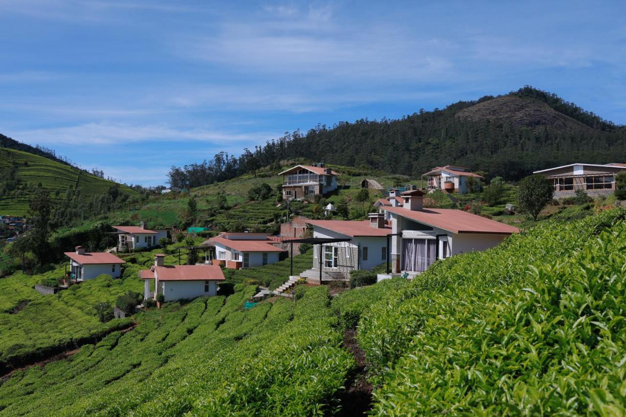 Planters Punch Resort 乌提 外观 照片